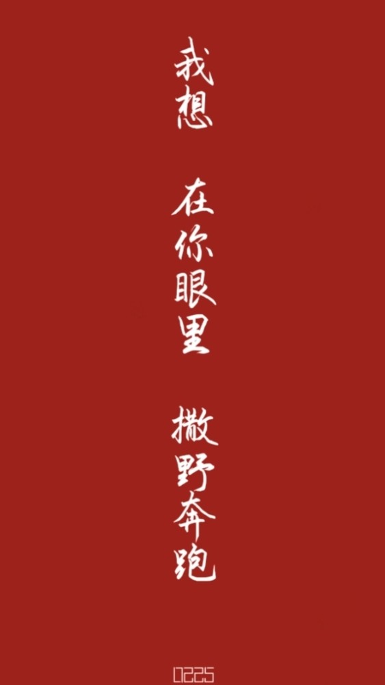 简洁文字壁纸《撒野》语录
