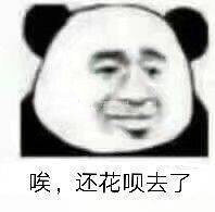 沙雕熊猫头唉还花呗去了