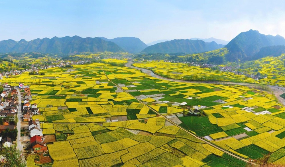 年假余额不足清明节补上,2021年汉中油菜花节不容错过