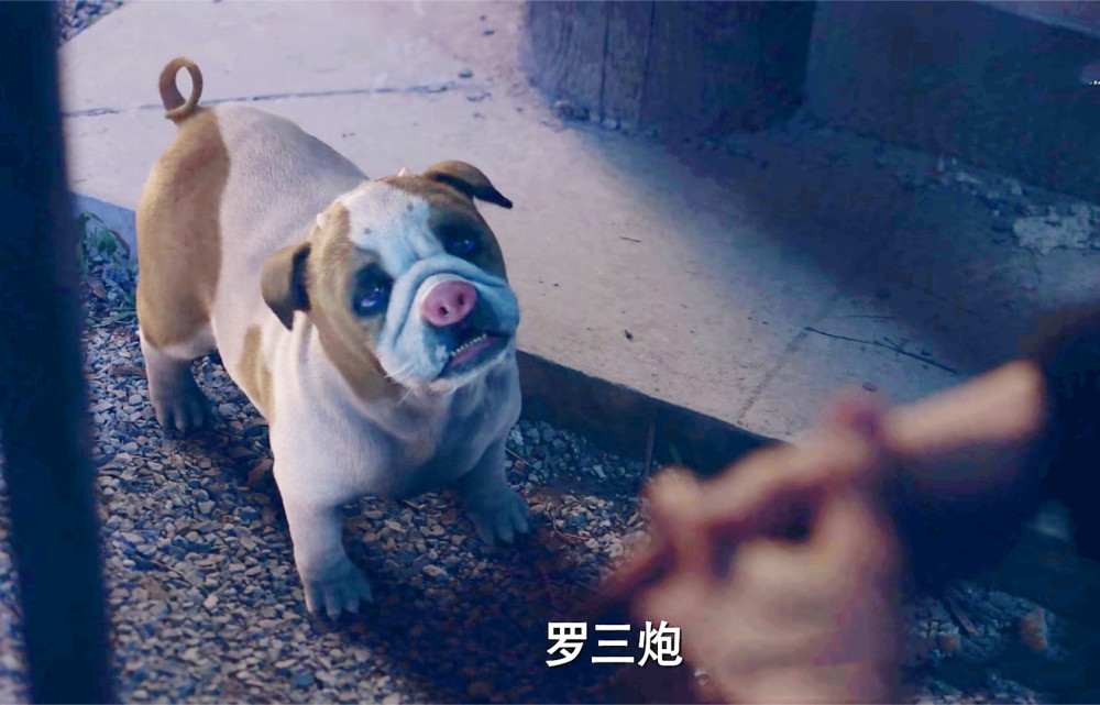 《斗罗大陆真人版》罗三炮比肖战好看,人气超越男主_腾讯新闻