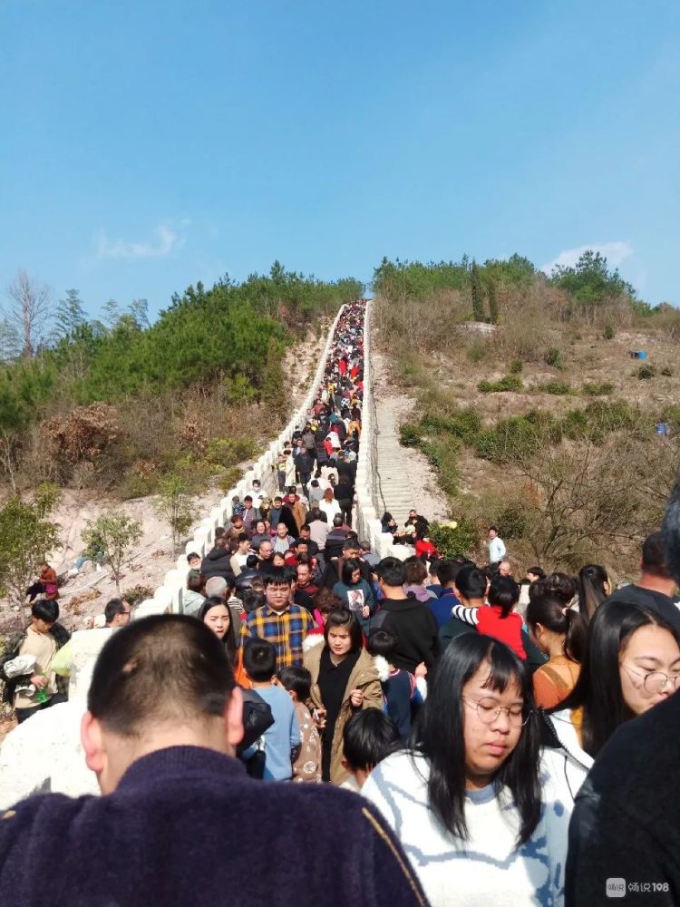 电视台都来采访!这网红景点太有名了,嵊州囊全跑去玩