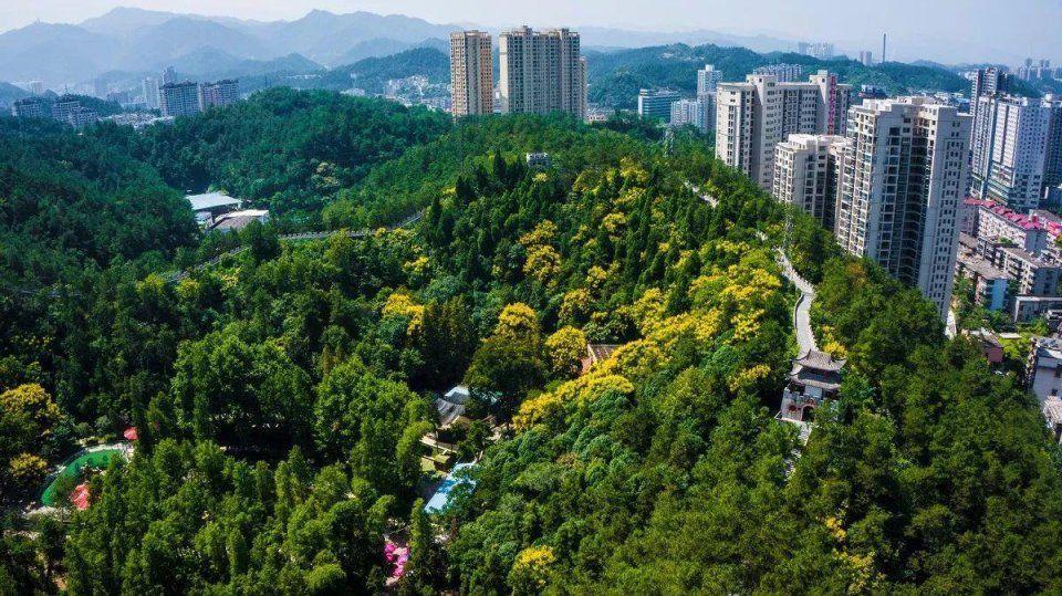 十堰 2019 gdp_十堰地图(3)