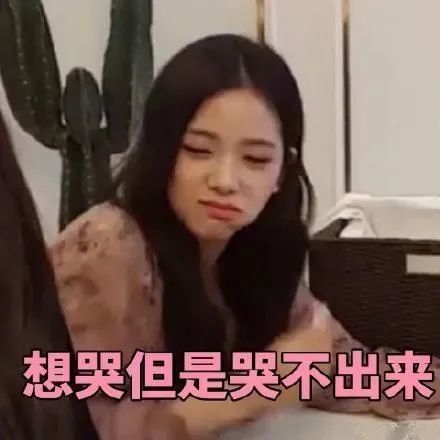 表情包沙雕jisoo金智秀系列