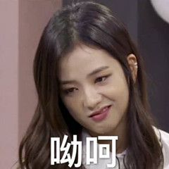 表情包|沙雕jisoo金智秀系列
