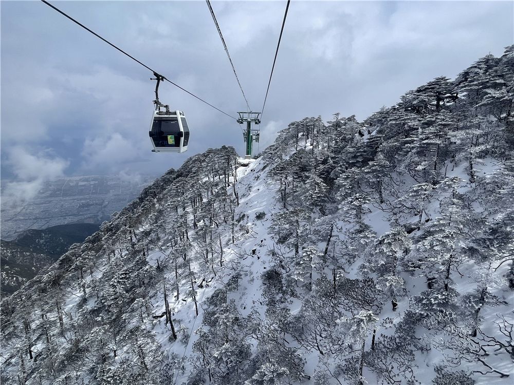 乘坐苍山洗马潭索道,穿云破雾,直抵山巅,领略山上山下两重天,欣赏玉树