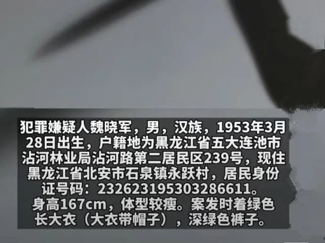 黑龙江男子深夜枪杀7人潜逃后死亡,村民:疑因养牛结怨