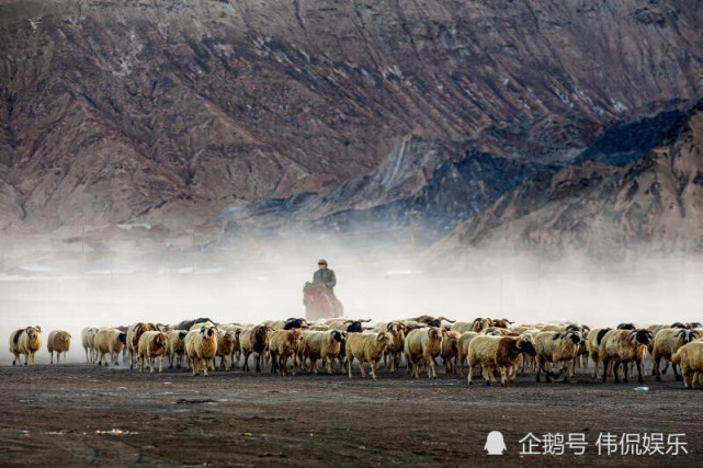 《可可托海的牧羊人》背后你不知道的故事,王琪上热搜