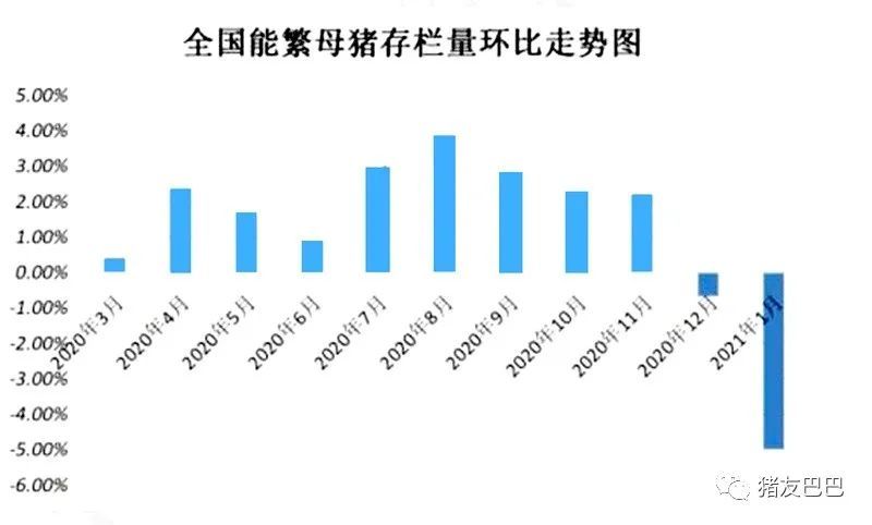 新一轮猪价上涨潮要来了?警惕3个风险!