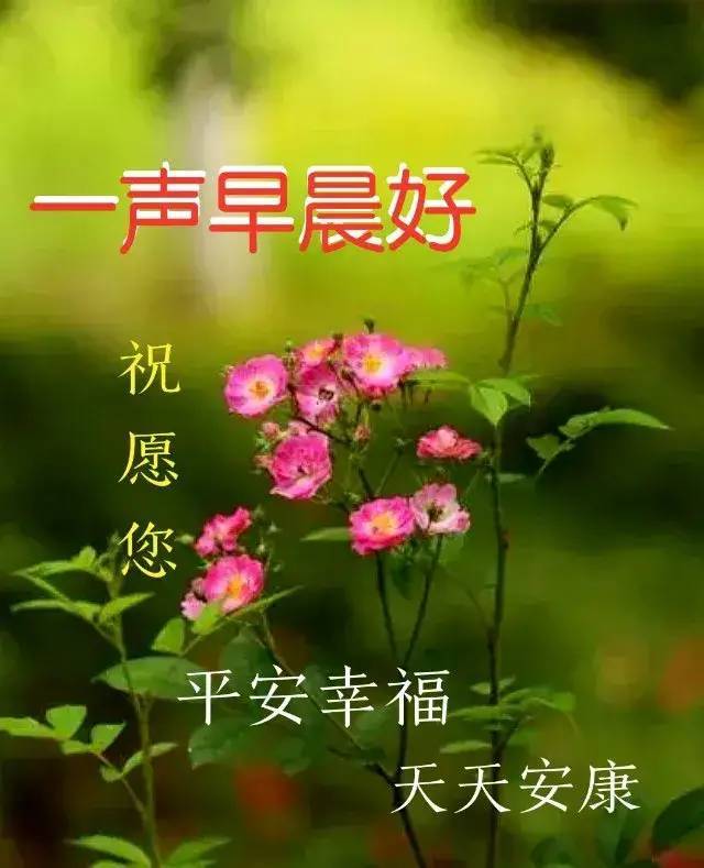 朋友早上好,春暖花开,天天快乐!