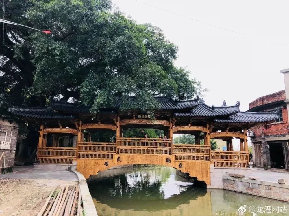 探村浙江苍南|鲸头古村,横阳支江畔宗教民俗文化名村