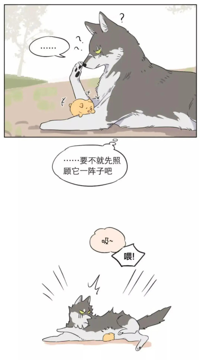 漫画捡了东西的狼捡到的奶狗有点烦