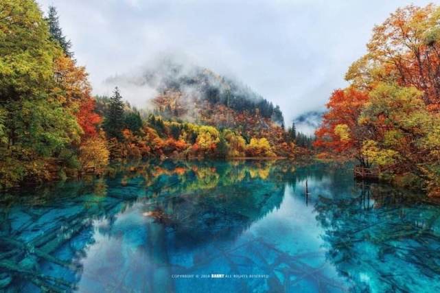 组图:中国最美的人间山水画,四川九寨沟,被誉为"童话