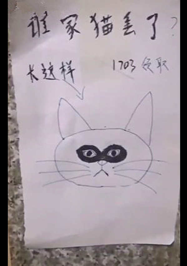 以为寻猫启事上的画像太抽象,看到猫的本尊后,感觉是个灵魂画手