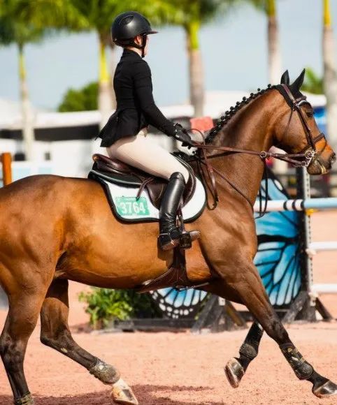 为什么那么多女性,越来越爱骑马?