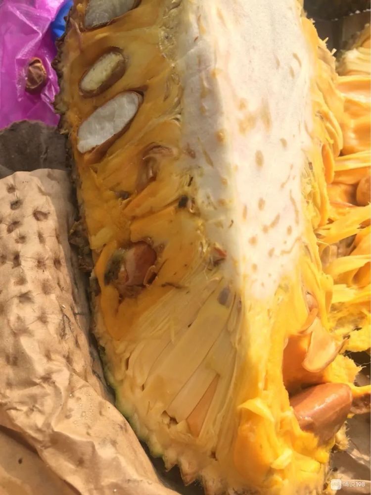 两个菠萝蜜买来全部烂出水了_腾讯新闻