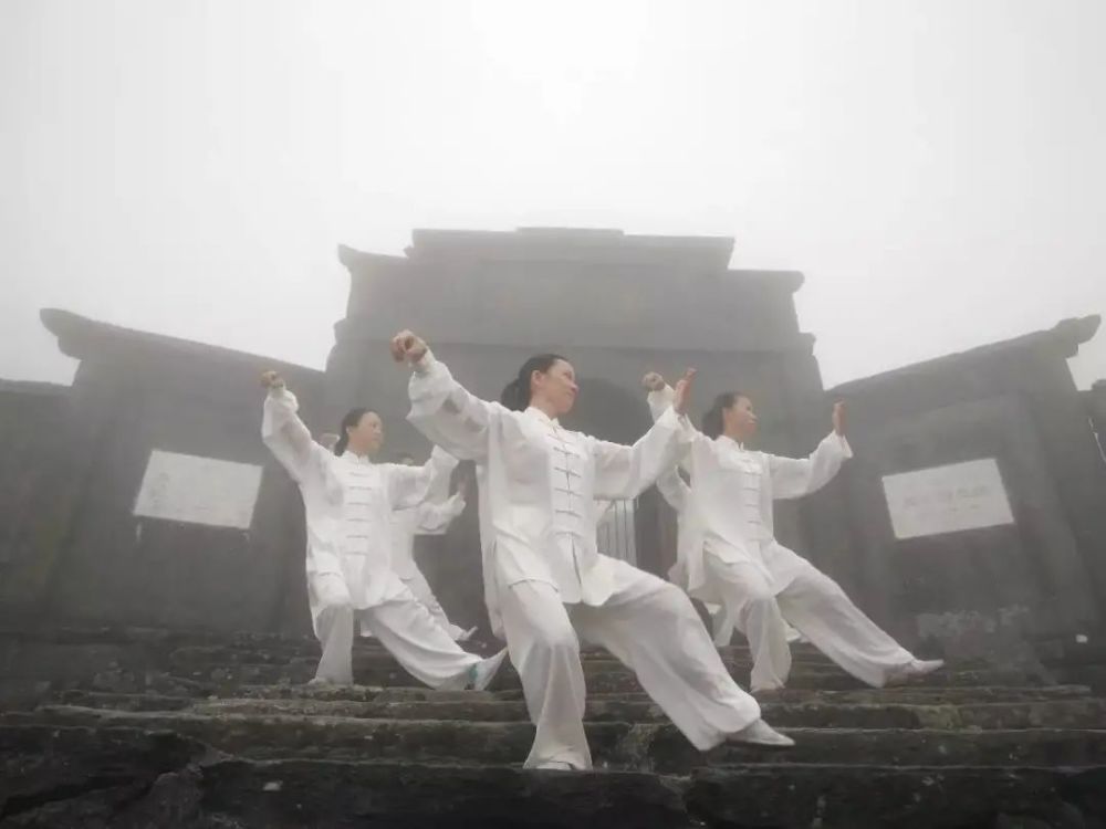 揭秘丨站桩惊人效果,可以治疗这12种慢性病