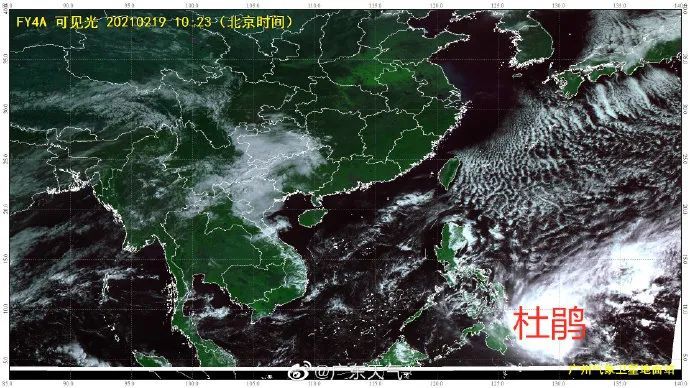 牛年1号台风"杜鹃"来了,最强10级!雷州的天气会影响吗?