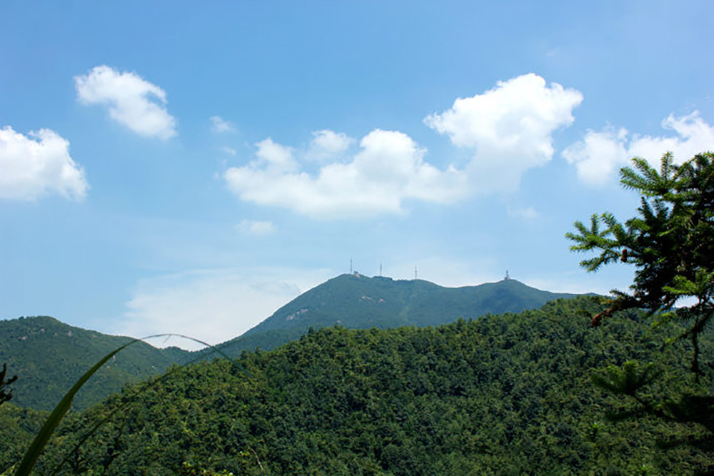 江西赣州峰山森林公园景色.