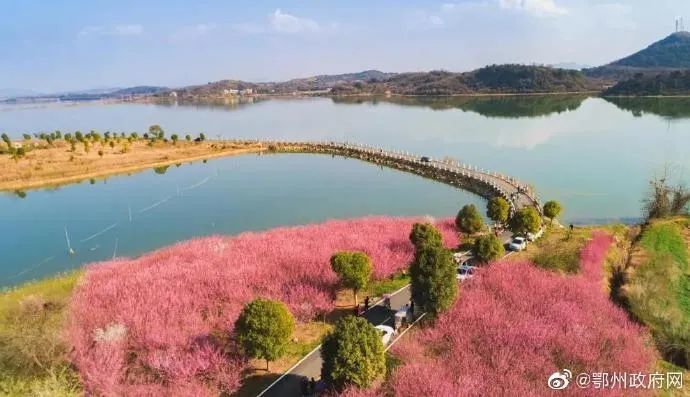 洋澜湖,青天湖,梁子湖,红莲湖,花马湖… 世代喝着长江水长大的鄂州人