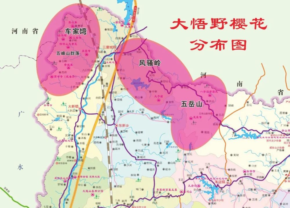 主要观赏地:百度导航车家塆(孝感市大悟县三里城镇,风骚岭