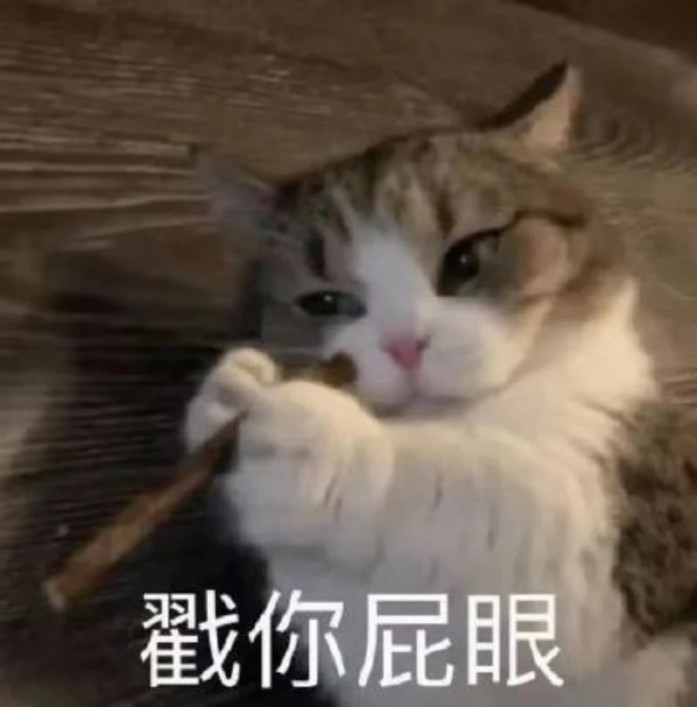 萌宠表情包:啊,我的心好痛!