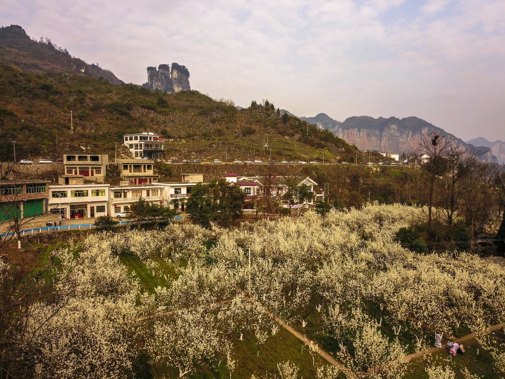 (新春走基层)春临化屋基