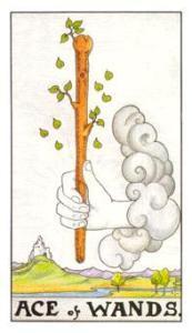 塔罗学堂权杖王牌aceofwands快速行动
