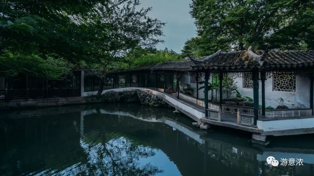 纵然心有猛虎,也需细嗅蔷薇.拙政园倒影楼,一个让你静心的地方