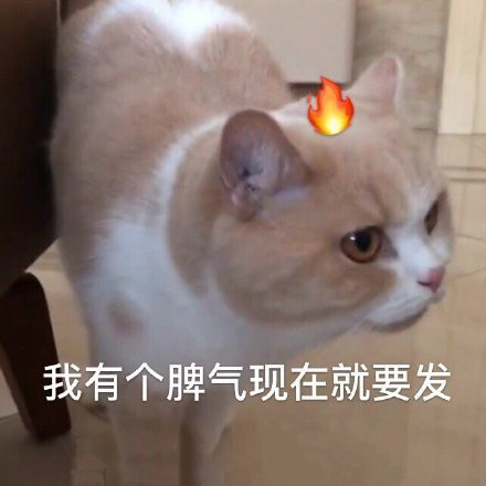 生气表情包拳头硬了