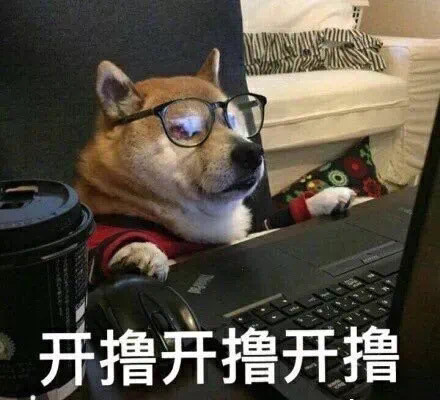 表情包:你不对劲哦