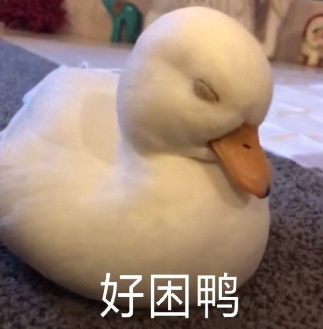 表情包/哟呵,了不起 了不起