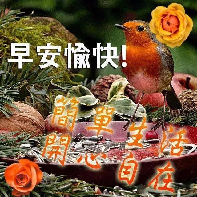 2月20日问候早上好图片带字动态表情 早上好图片