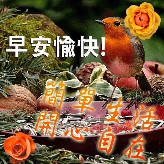 2月20日问候早上好图片带字动态表情早上好图片