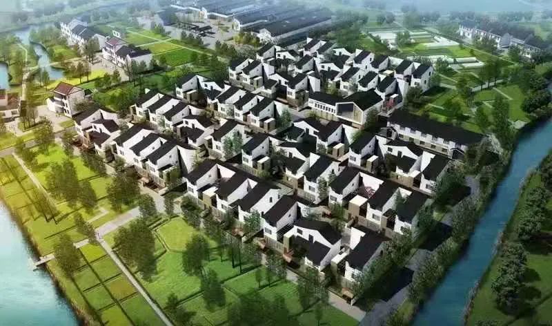 就在昨天 金山区张堰镇百家村农民集中居住点"百家竹舍"项目效果