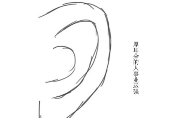 从耳朵看命运,你是否拥有一对招财耳,越老越招财?
