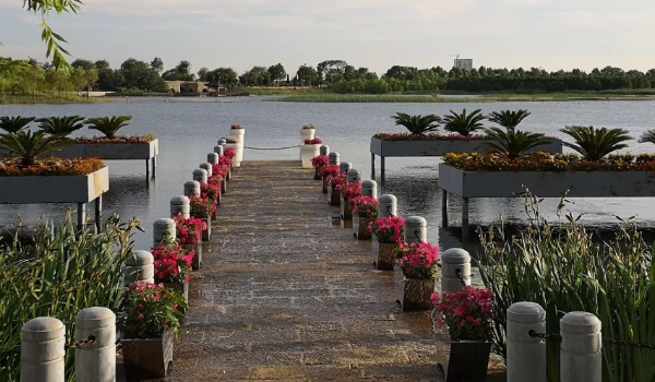 东港市GDP_东港市龙王庙镇图片(3)