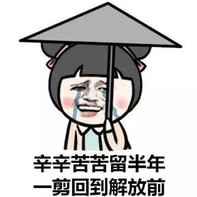 表情包剪完头发搞笑的表情理了个发又换了一种丑法