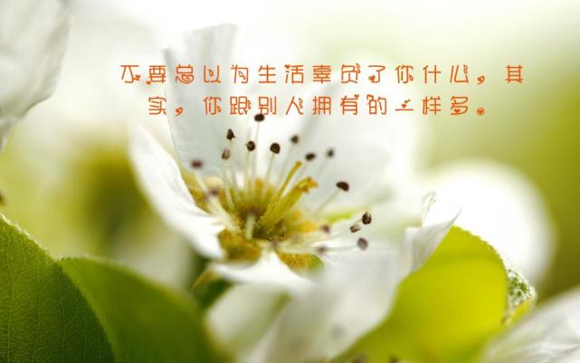 2021致自己励志图片,2021致自己图片正能量 2021早安励志正能量语录,经典走心,致自己!