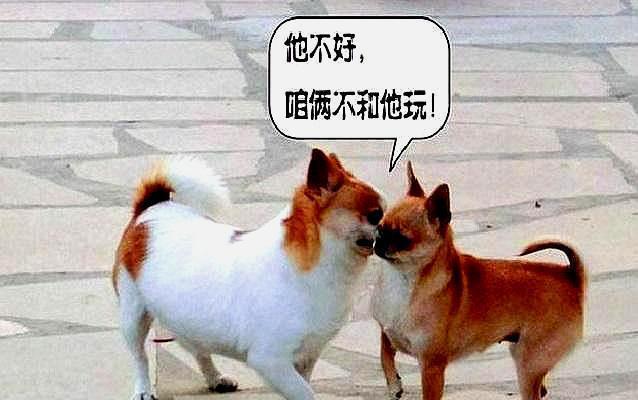 如何应对办公室挑拨是非的人教你5招让他见了你绕道走