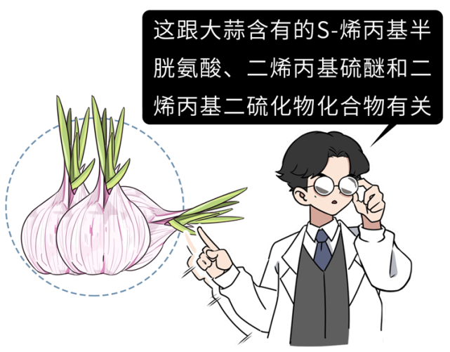 食用两瓣大蒜后 人体红细胞便能检测到硫化氢成分 布法罗大学和