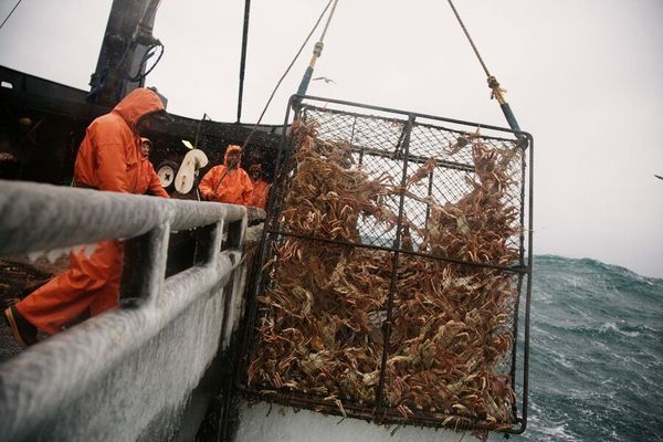 一周净赚30000美元职业捕蟹人每次出海都是一次搏命之旅