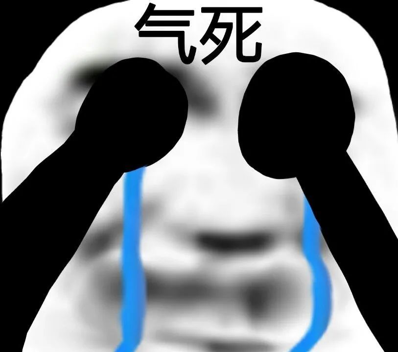 熊猫表情包:多说无益,请残忍对待我