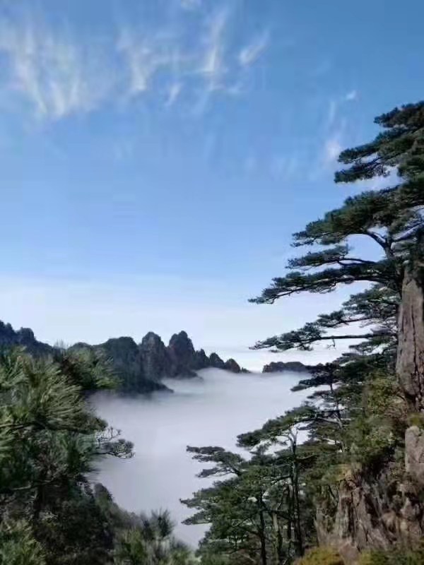 黄山风景区美如画