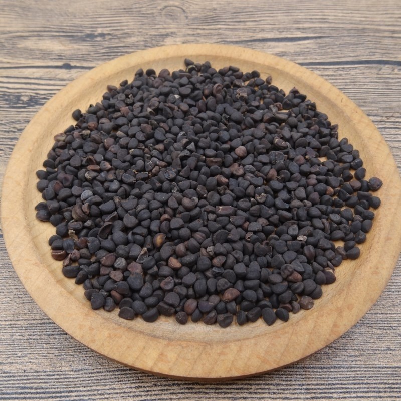 牵牛子情寄牵牛娃