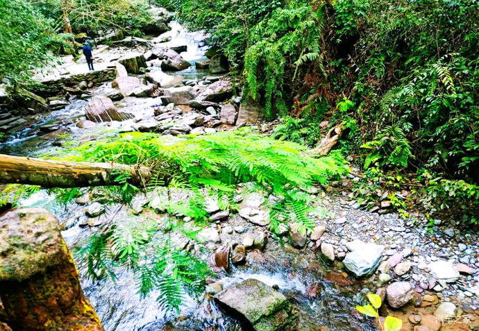 充满"神奇,弥漫着,浪漫,洗心涤虑"的地方美誉——游亚木沟风景区