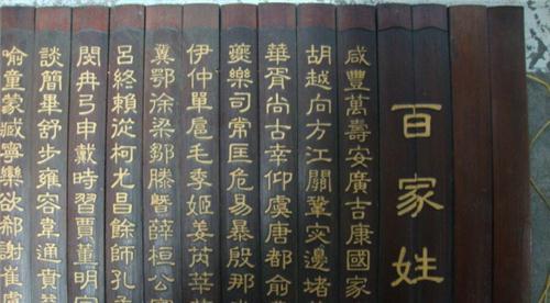 中国第七次人口普查特点_第七次人口普查图片(2)