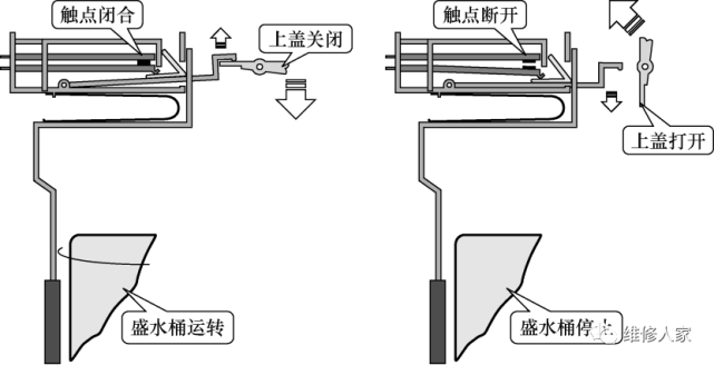 波轮洗衣机电气线路的结构和工作原理.