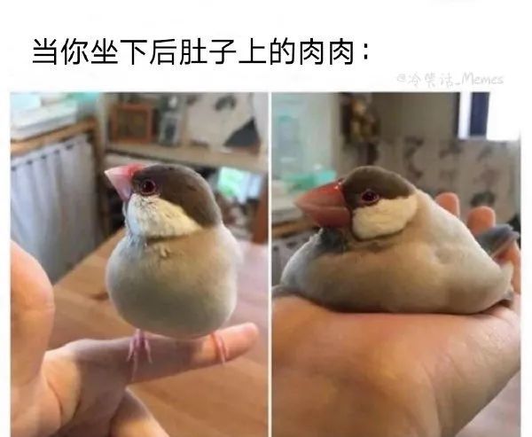 沙雕梗图(11):皇帝为什么从来不说谢谢