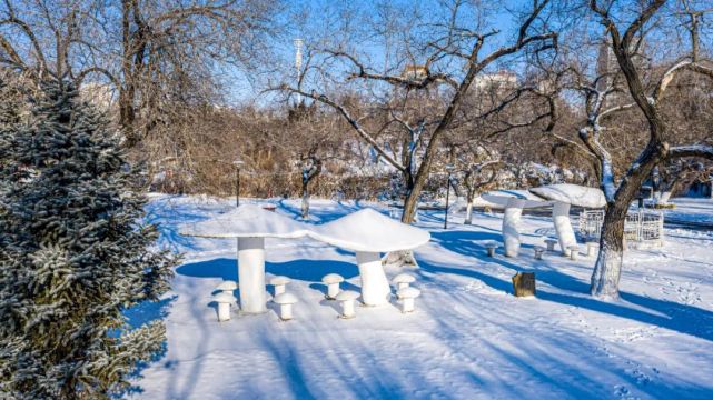 雪后美景看鹤城