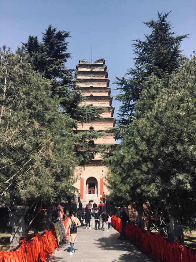 古城西安香积寺初春美景醉游人